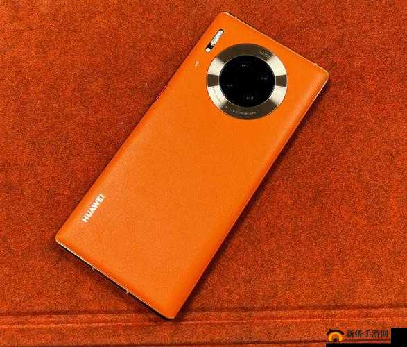 欧美无 mate30pro 巨：全新解读