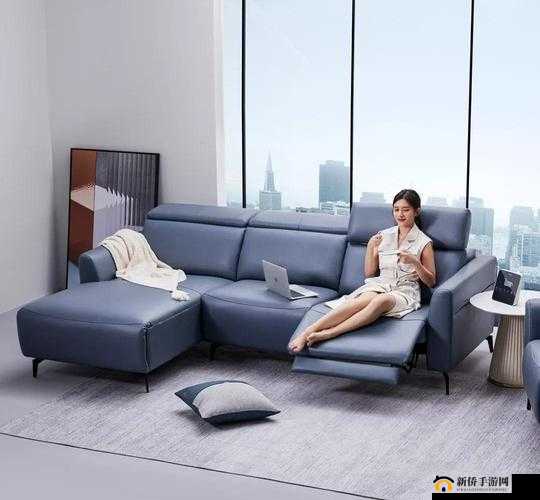 国产精选午睡沙发系列 999：舒适午睡之选