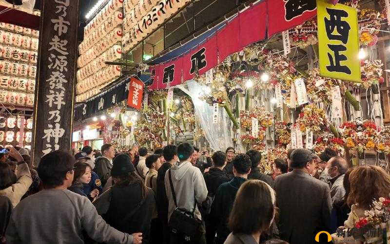 日本高清 vpswindows：畅游网络的新选择