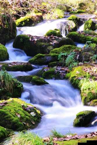 两峰夹小溪地湿又无泥：解析其独特韵味