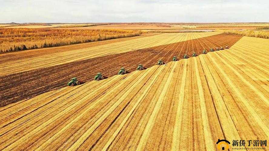 开垦母亲肥沃的土地教案：探索土地的奥秘