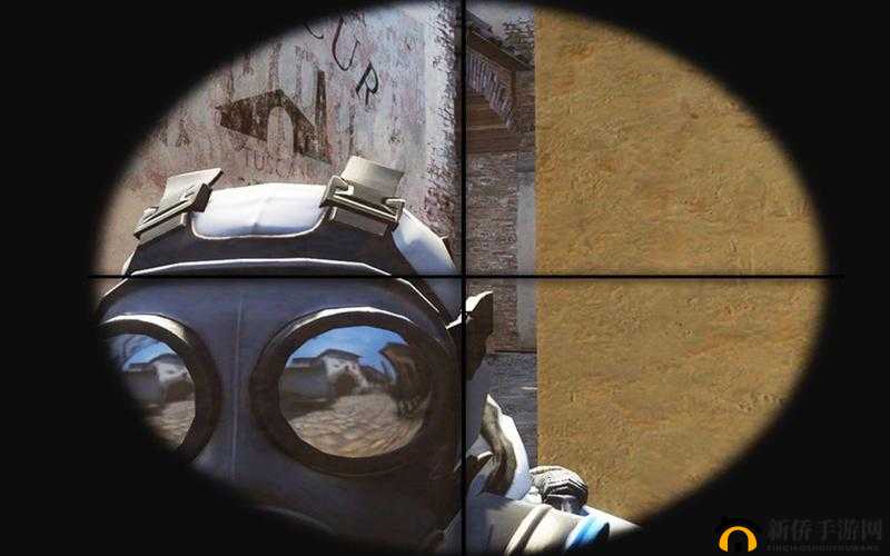 暴躁妹妹 csgo：带你领略枪林弹雨