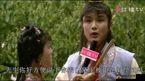 宝玉黛玉雨中诉肺腑