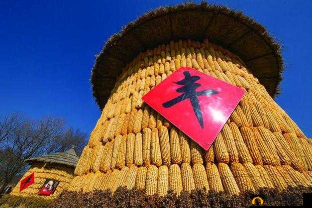 丰裕纵满 2688 ：畅享富足精彩生活