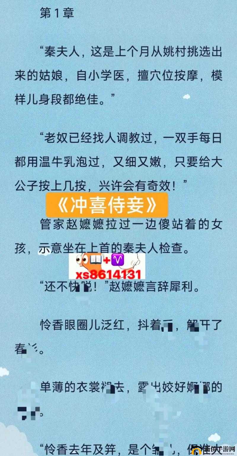 冲喜侍妾：古言 1v1 全文之乱世情殇