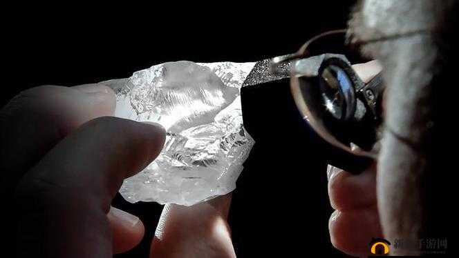 X 液收集器系统：创新科技的杰作