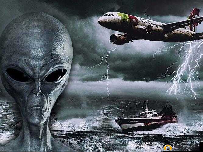 双手游走在一丛茂密：探寻未知的神秘领域