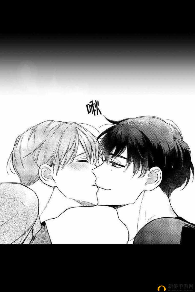 双男主：喘息与激情的交织