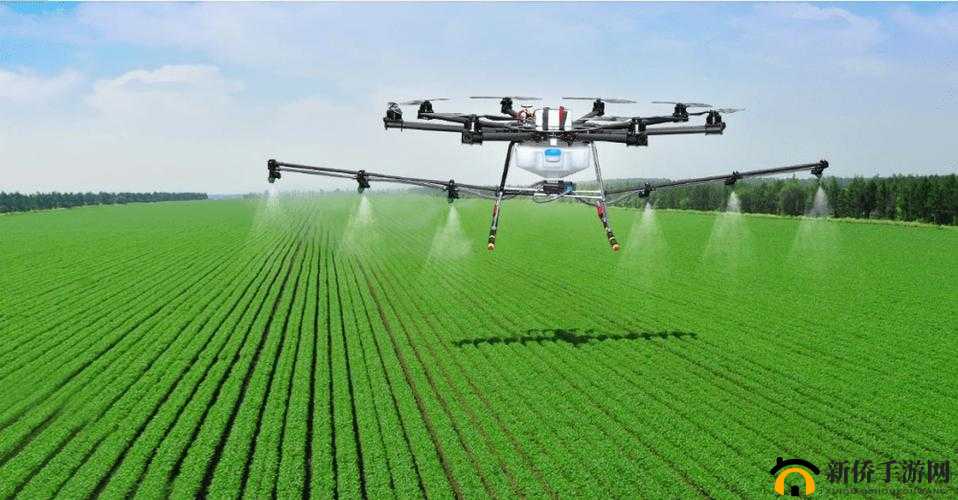 人与畜禽corporation的合作：探索未来农业新模式