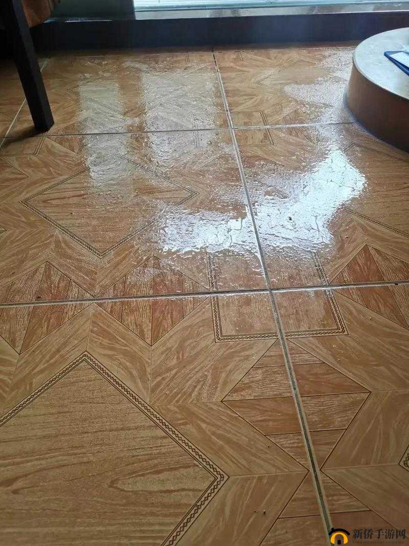 喷潮湿怎么办到的：实用解决方法分享