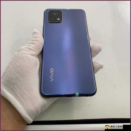 深度解析成色好的 Y31：全方位解读