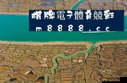 四叶草M码与欧洲码的区别：特点与差异解析