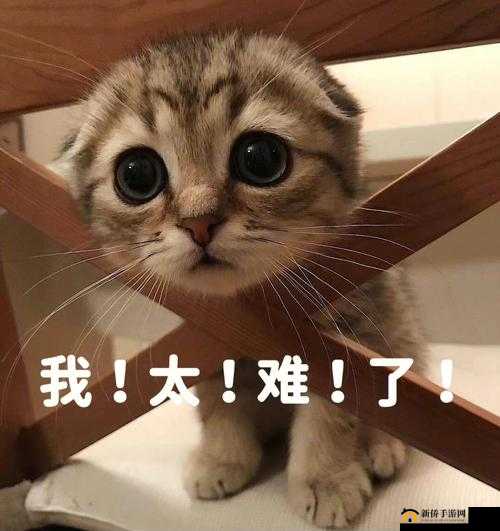 被各路主角们爆炒的日常生活之我太难了