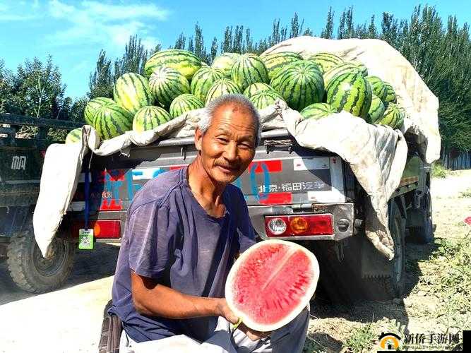 西瓜地的老李头：朴实无华的瓜农