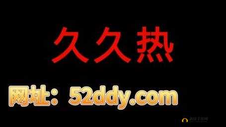 久久久国产精华：高品质、持久耐用