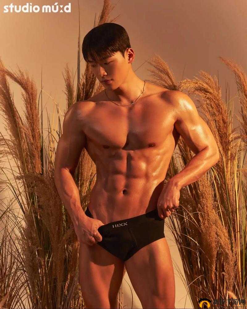 一眼就立的图片：男性腹肌展示