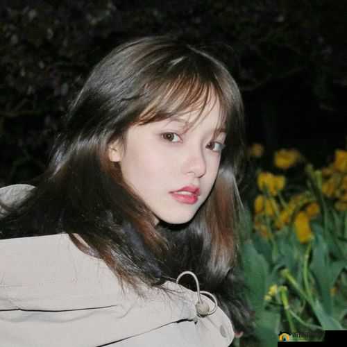 优质 JY 收集系统苏沫沫的独特之旅