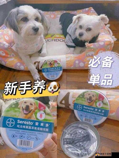 人狗胶配方大全免费：绝对实用