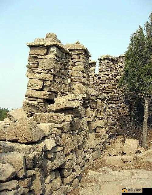 08 年雁门照还能找到吗：相关探讨