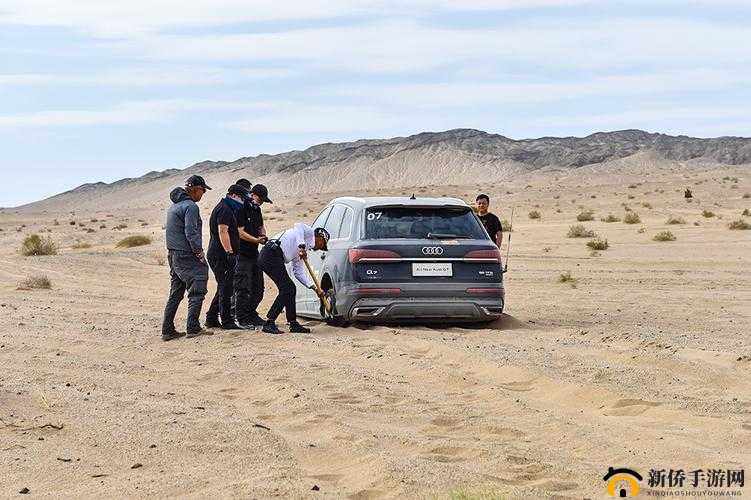 欧美无人区码 SUV91KP 探索之旅