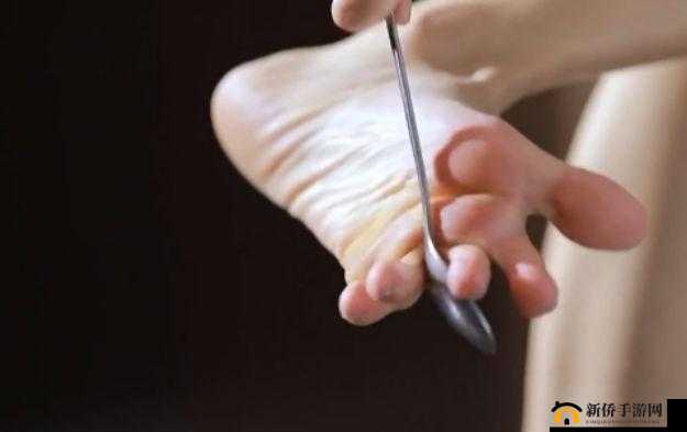 黑土腿法娴熟脚法精湛：令人惊叹的技艺展现