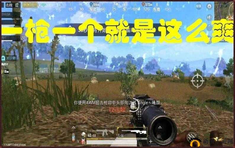 B站刺激战场免费直播：精彩不断等你来