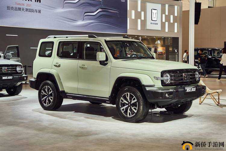 国产无人区码 SUV：强大的越野利器