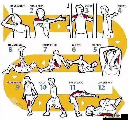 私教 1V2 训练思路：高效健身新途径