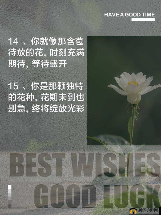 含苞欲放读读：静待绽放的美丽