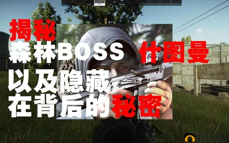 逃离塔科夫森林 BOSS 全揭秘：了解这些部位，轻松应对挑战