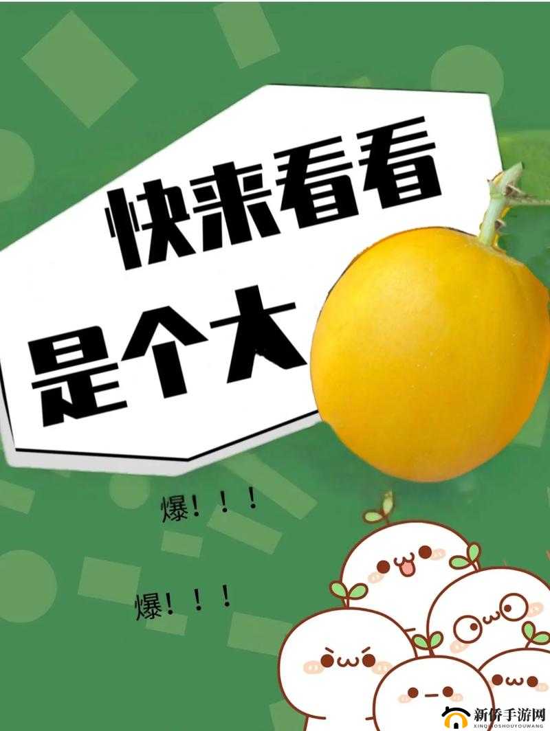 51cg10 今日吃瓜：惊人内幕大揭秘