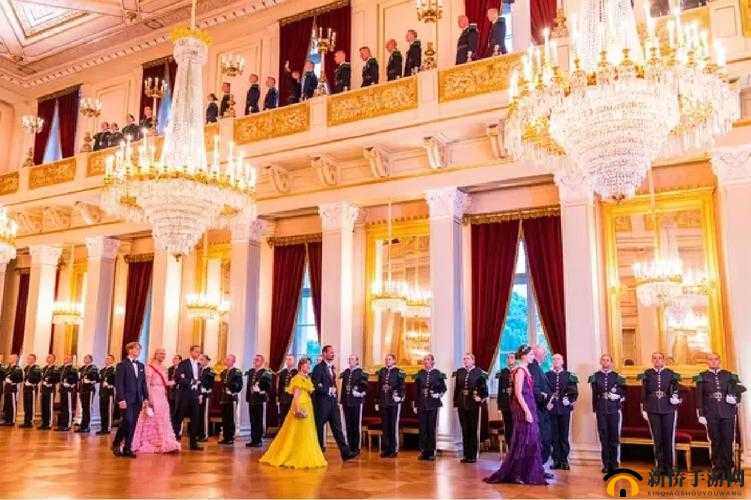 公主成年礼共大臣使用：一场盛大的庆典