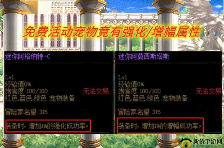 DNF 永恒大陆宠物获取所需时间究竟要多久才能达成