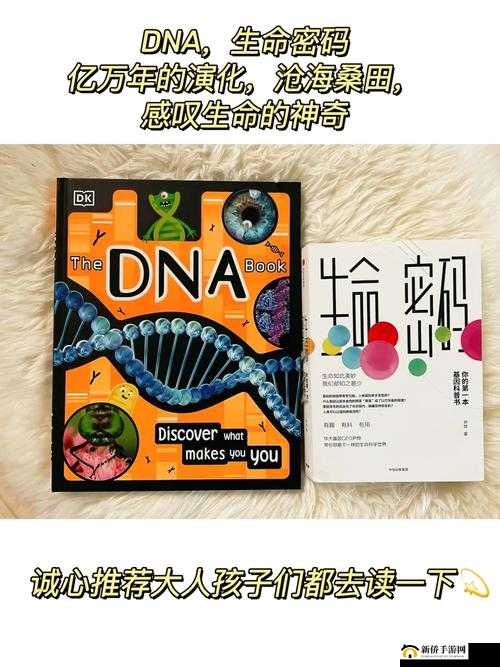 母亲和儿子DNA一样吗：科学解读