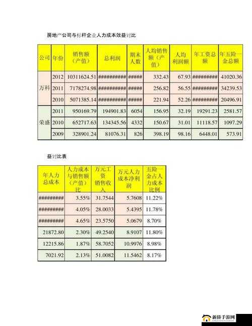 久久人力资源与普通版对比：优势与差异解析
