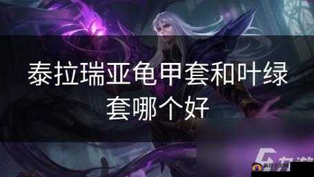 泰拉瑞亚：乌龟套与叶绿套，谁是你的最佳选择？