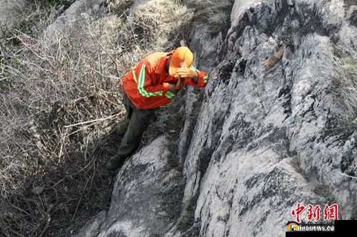 峭壁行者：眼疾手快，躲避落石的终极攻略