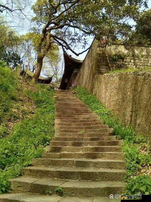 疯狂健身课李欣笔趣：精彩健身之旅等你来