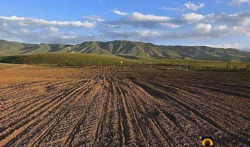 开垦妈妈荒地：别样的情感故事