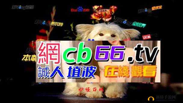 成品网源码 78W78：功能强大、安全稳定、使用方便