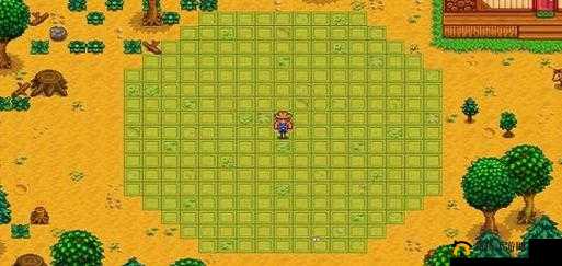 星露谷物语：获取淡啤酒的秘诀