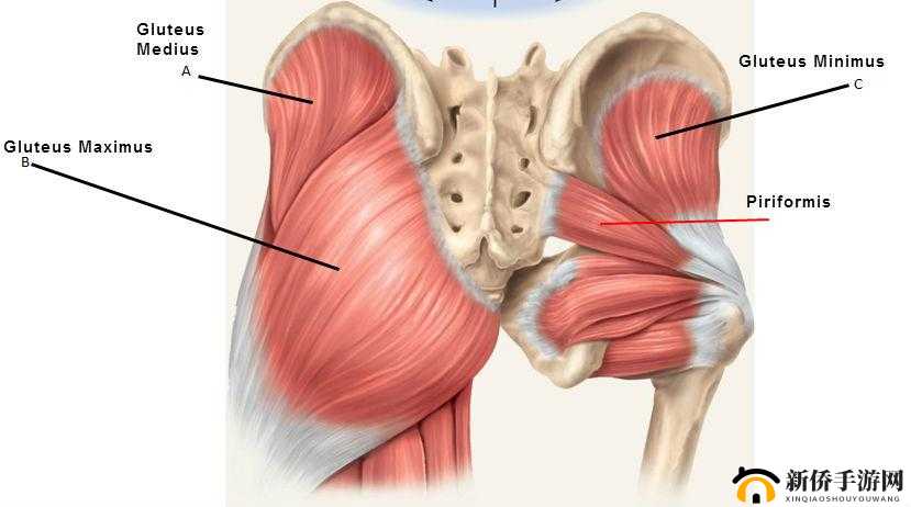 beat on the buttocks VD：臀部打击的性癖好