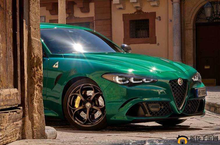 四叶草欧洲和国产区别：特点解析