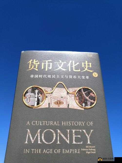 风暴奇侠古董货币的深度解读：其功用与价值探索