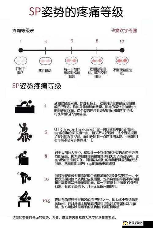小圈 sp 自测表：全面了解自我的实用工具