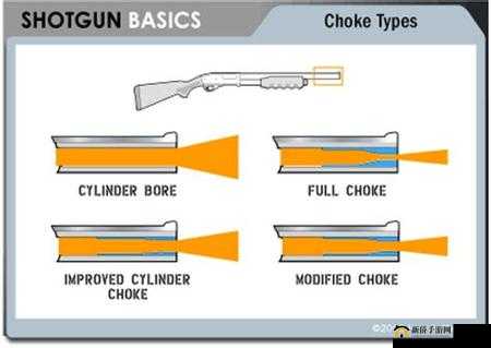 生死2散弹枪配件搭配指南：专业推荐散弹枪配件组合