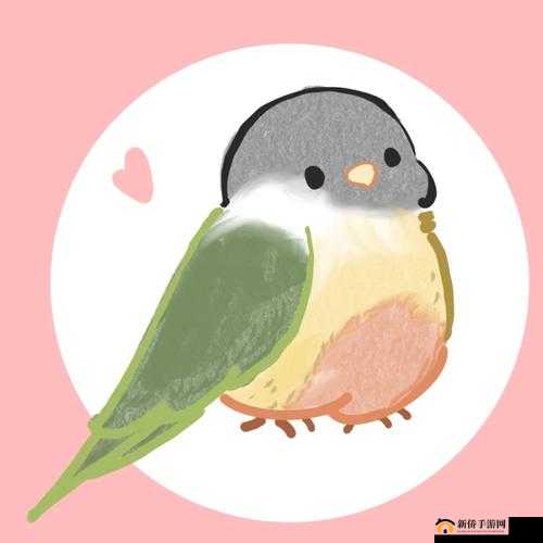 零界之痕宠物鹦鹉作用大揭秘及快速获取途径全知道