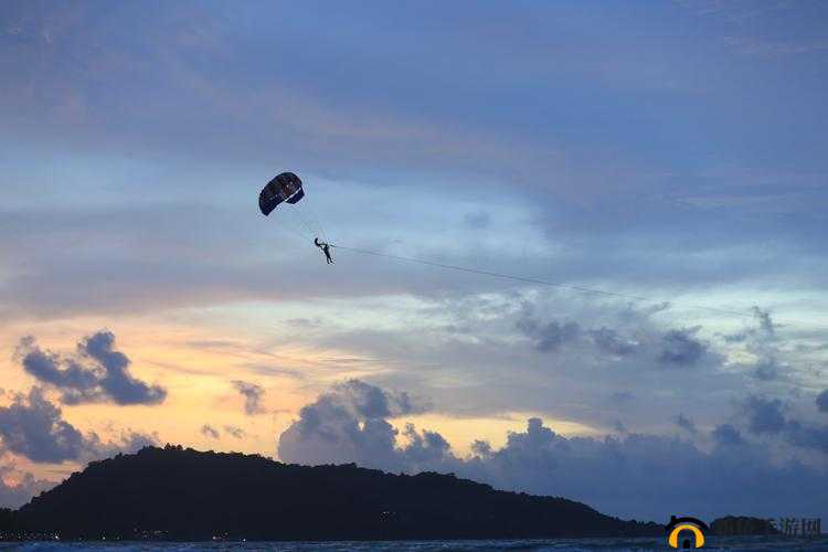 Tai9：关于它的独特魅力