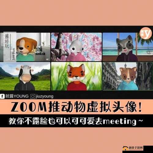 ZOOM 动物人：神奇的存在