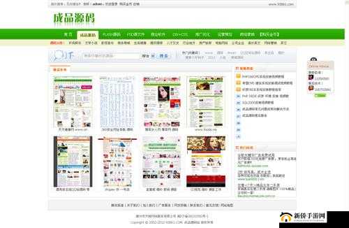 成品网源码 7w8w：独特技术优势解析